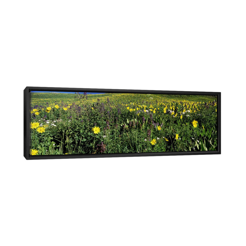 « plain plain pass », butte crest, gunnison county, colorado», reproduction de photo sur toile enroulée, Cadre noir