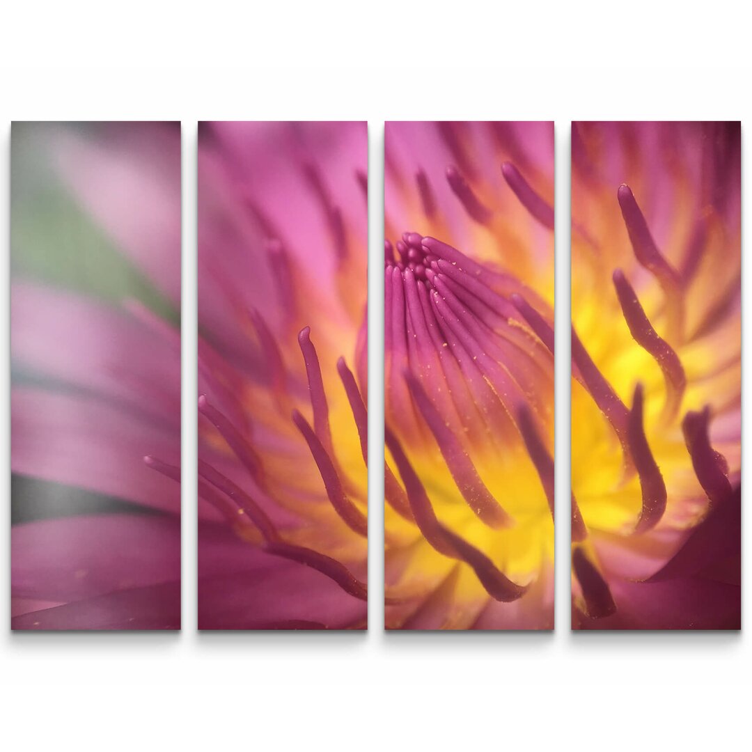 4-tlg. Leinwandbilder-Set Lotus Blume