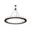 24 - Light Chandelier