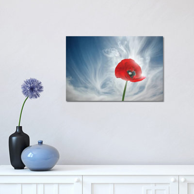 You Drive Me Crazy by Ben Heine - Floater Frame Print on Canvas