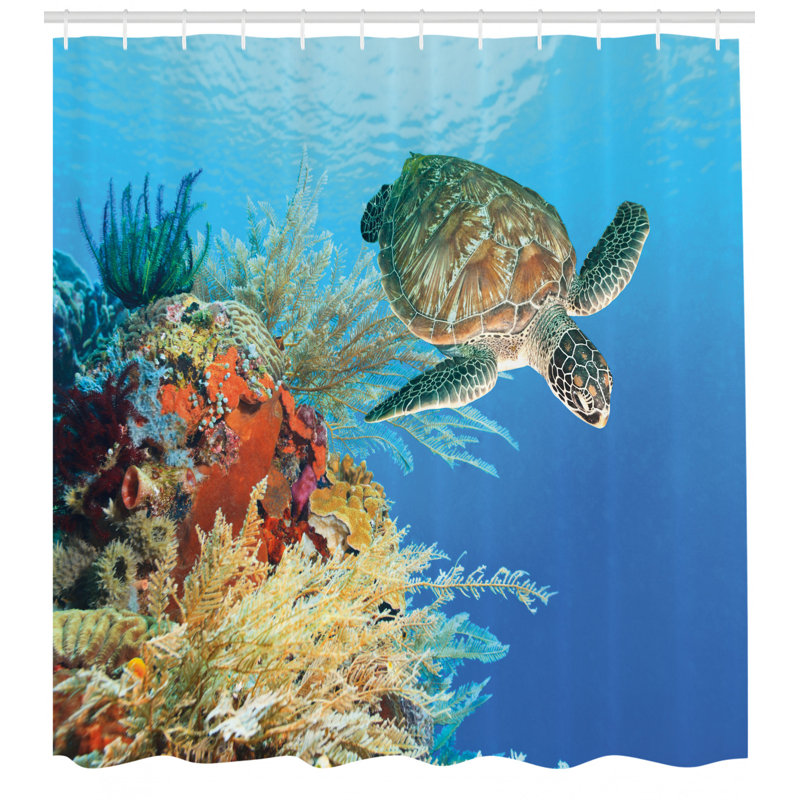 Ensemble de rideau de douche turtle et crochets, H 75 po x l 69 po