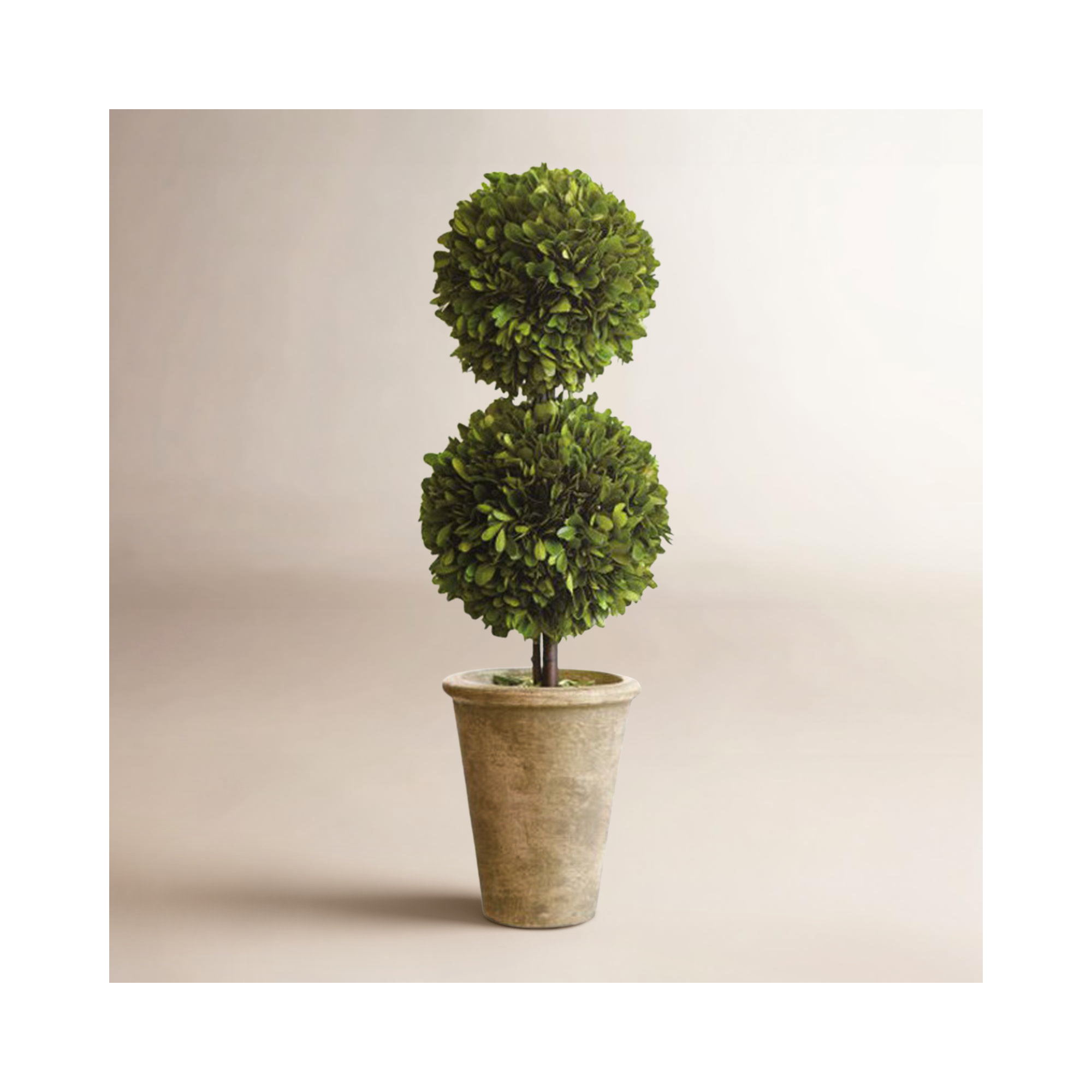 Preserved Boxwood Double Ball Topiary, 20" H
