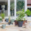 Pot Planter-1330104274-1330104277
