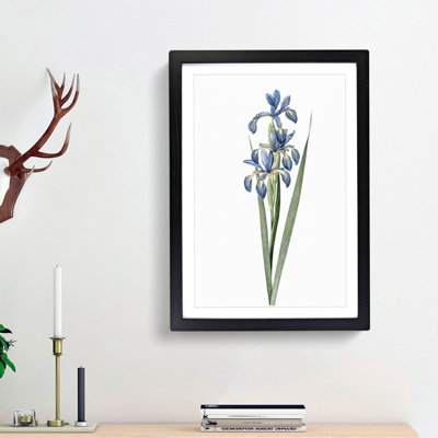 Blue Iris Flowers by Pierre-Joseph Redoute - Picture Frame Art Print