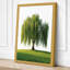 Weeping Willow Botanical - Wrapped Canvas-364799841-364799844