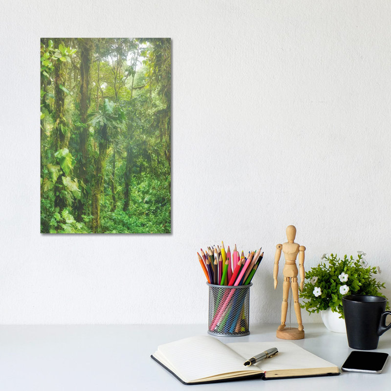 Jungle Mist by Mark Paulda - Print on Canvas, 30.48cm H x 20.32cm W x 1.91cm D, Wrapped Canvas