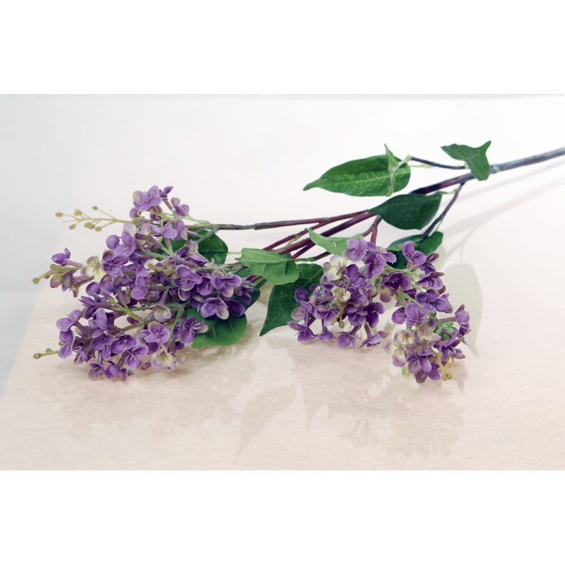 Mauve Lilac 