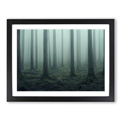 A Captivating Forest - Framed Print