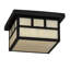 2 - Light Flush Mount
