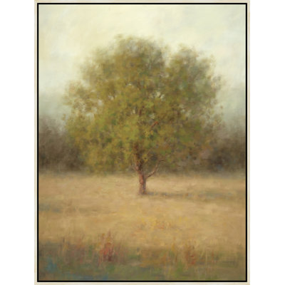 Nature morte et enracinée