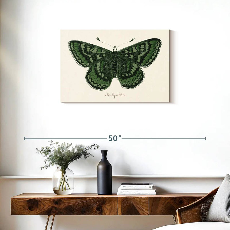 Brampt papillon antique I, H 20 po x l 30 po