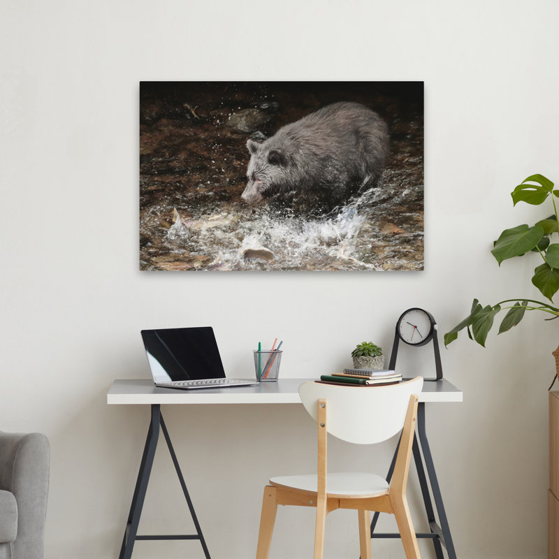 Salmon Splish Slash - Photographie contemporaine d'ours éclaboussant, H 24 po x l 36 po