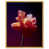 Gold Floater Frame selected