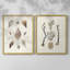 Knorr Shells & Coral IX - reproduction encadrée de qualité supérieure - prête à être accrochée - aucun clou requis - aucun clou requis-1862658288