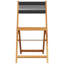 Aubagne Solid Wood Bistro Chairs Acacia and Polypropylene-1558064767