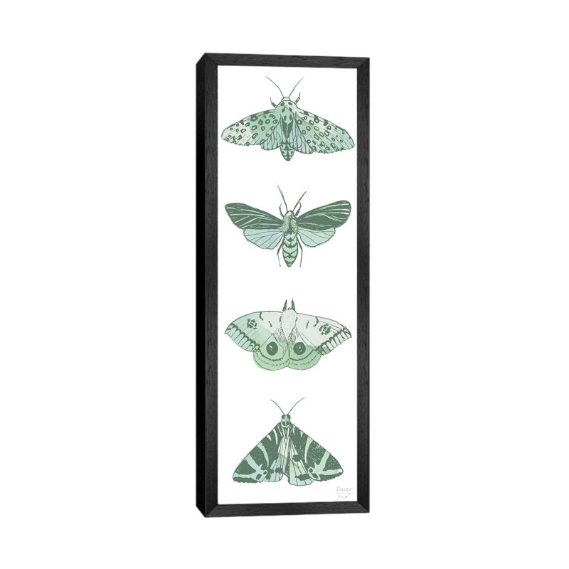 Four Moths - Panoramic Print on Canvas, Black Floater Framed, 121.92cm H x 40.64cm W x 3.81cm D