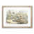 Oak Framed selected