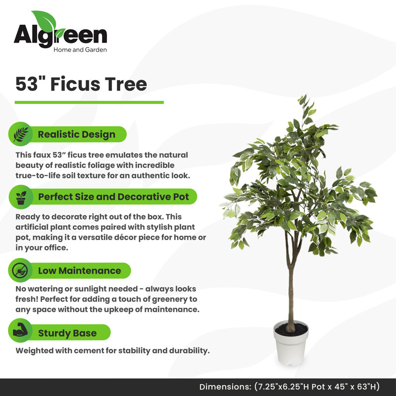 Algreen Ficus Tree
