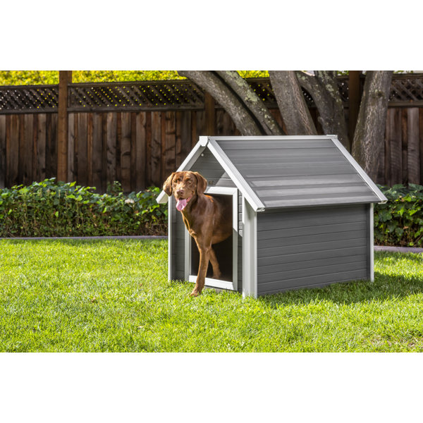 Archie & Oscar™ Achilles ECOFLEX® Bunk Style Dog House & Reviews | Wayfair