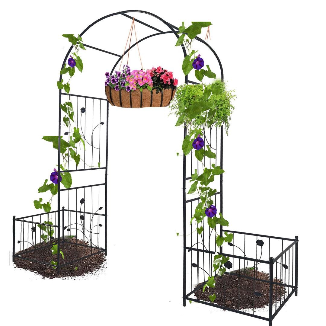 72.8'' W x 12.8'' D Arbor in Black OAK DECOR BLAZE