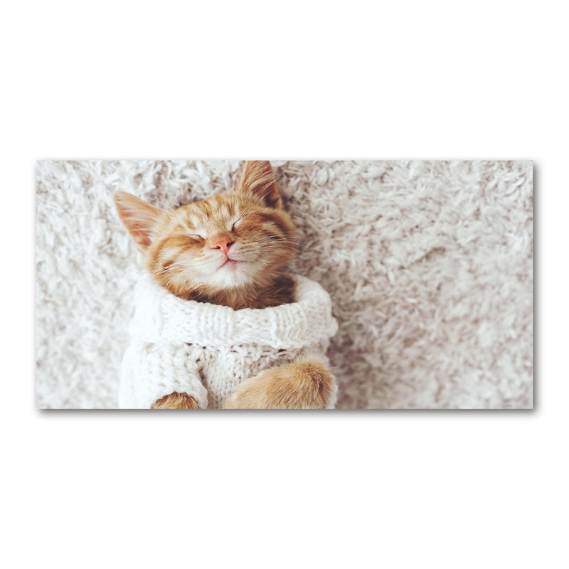 Kitten in a Sweater 1 Piece Wrapped Canvas Wall Art