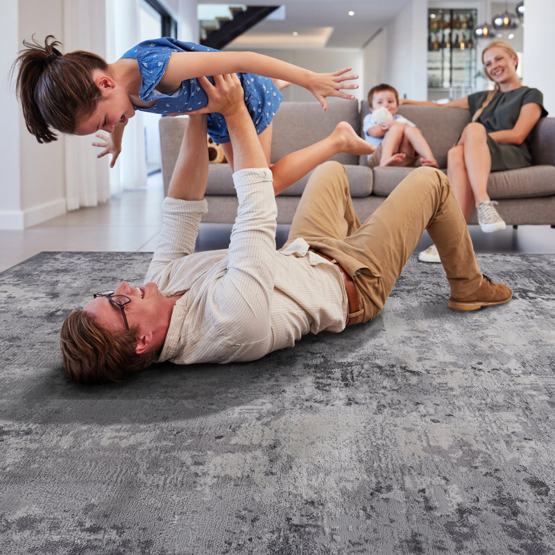 Tapis gris 2 x 3, sans perte de teinture, magnifique pour le salon, la chambre à coucher, tapis gris, bureau élégant