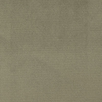 Velours de satin de coton Belvedere-Byron