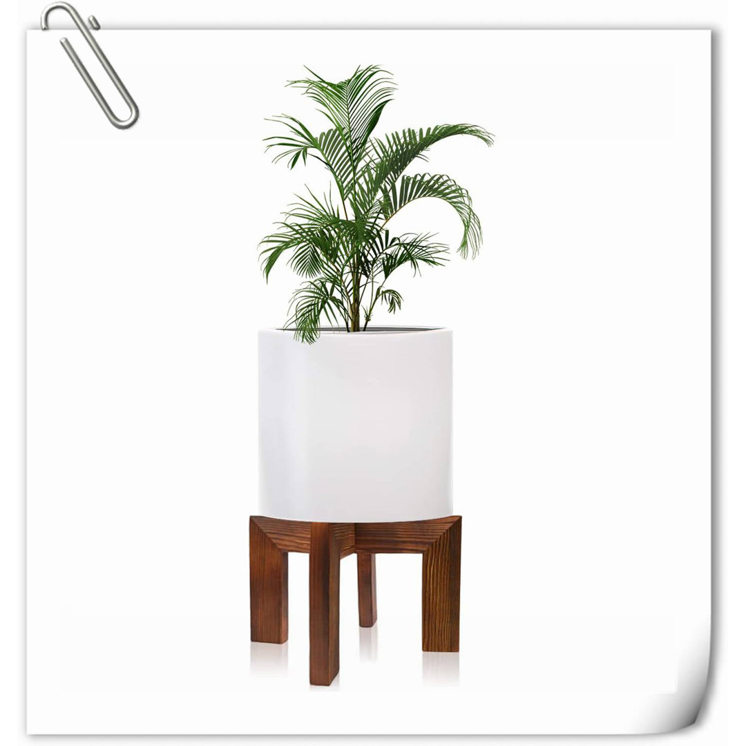 Moresby Plant Stand Arlmont & Co.