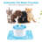 and Pet Fountain