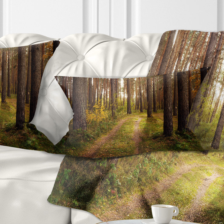 Reversible Throw Pillow