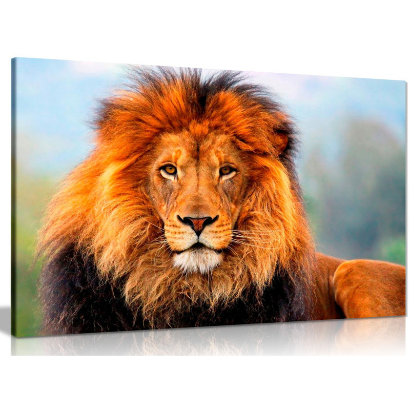 Wild African Lion - Wrapped Canvas Print, 20cm H x 31cm W