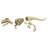 Raptor Skeleton Garden Statue