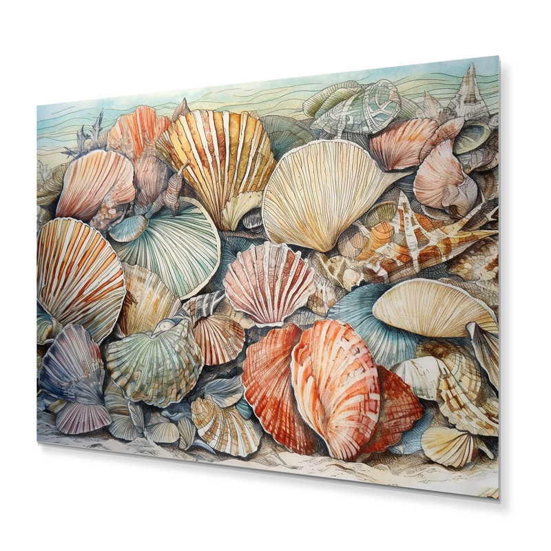 Seaside Seashells IV - reproduction d'art sur métal sans cadre, H 12 po x l 20 po x P 1 po