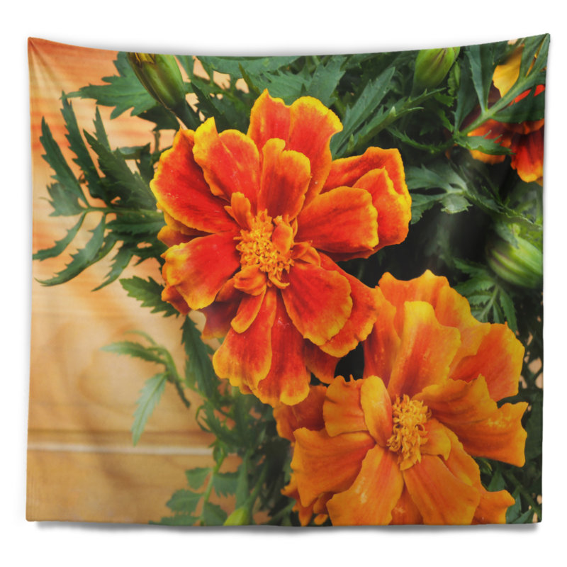 Fleur de souci sur fond en bois, H 32 po x l 39 po