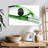 Sireci Squash Game Equipment-108880967