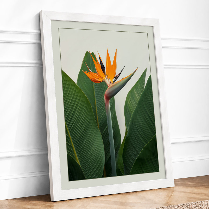 Bird Of Paradise Bloom Botanical - Print, A1 - 84.1 x 59.4 cm, White
