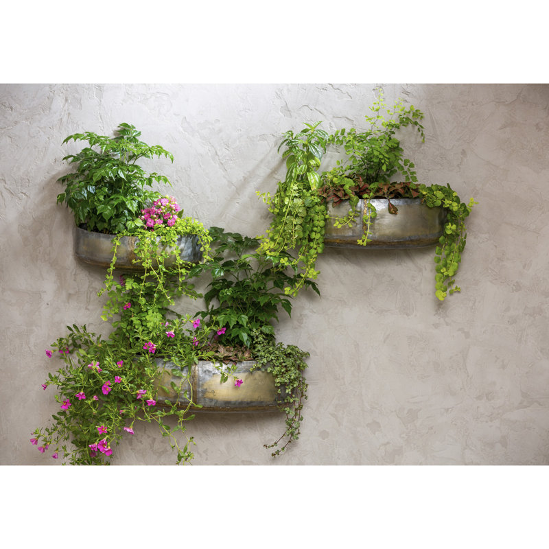 Gapspard 3-Piece Metal Indoor/Outdoor Wall Planter Set