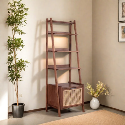 Ladder bookcase