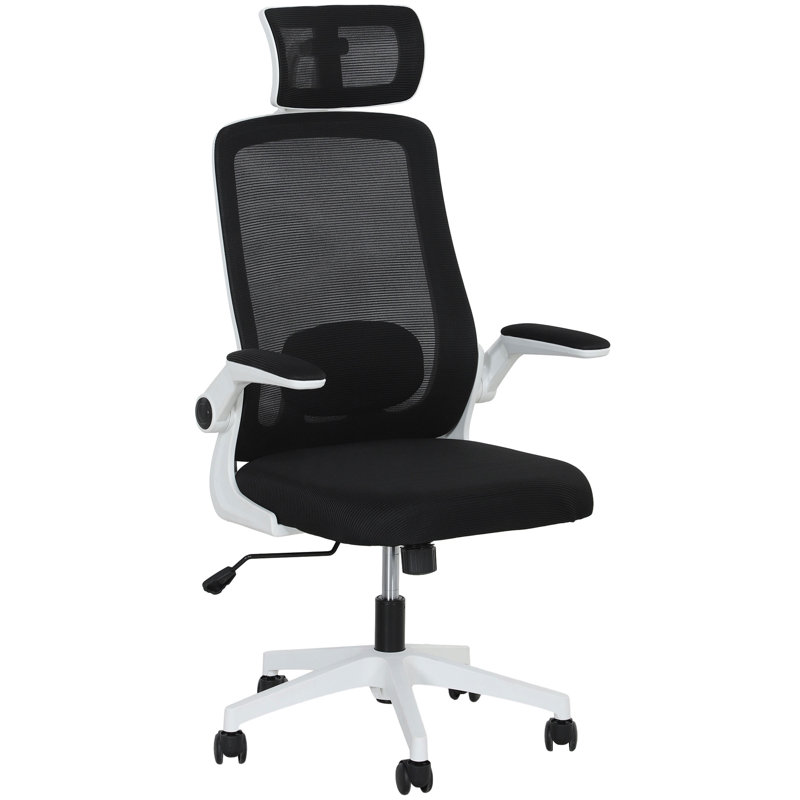 HOMCOM Executive Office Chair Ergonomic Mesh High Back Desk Chair Black, Black