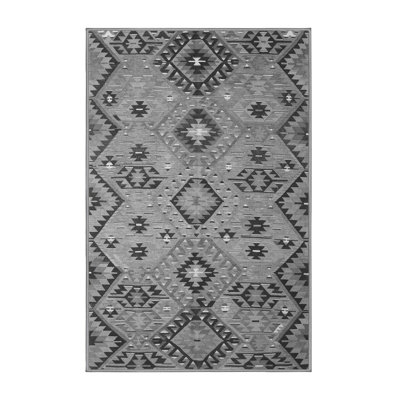 Shloimy Performance Southwestern Indoor Rug
