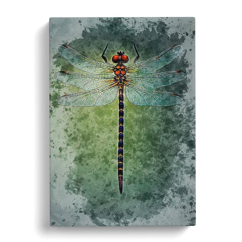 Watercolour Dragonfly No.2 - Wrapped Canvas, 50cm H x 35cm W x 3cm D