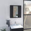 Armoire à pharmacie Artemisa, double porte, miroir, une tablette extérieure-1318155913