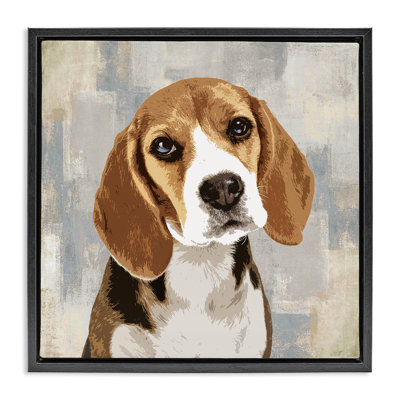 Pet Beagle en attente