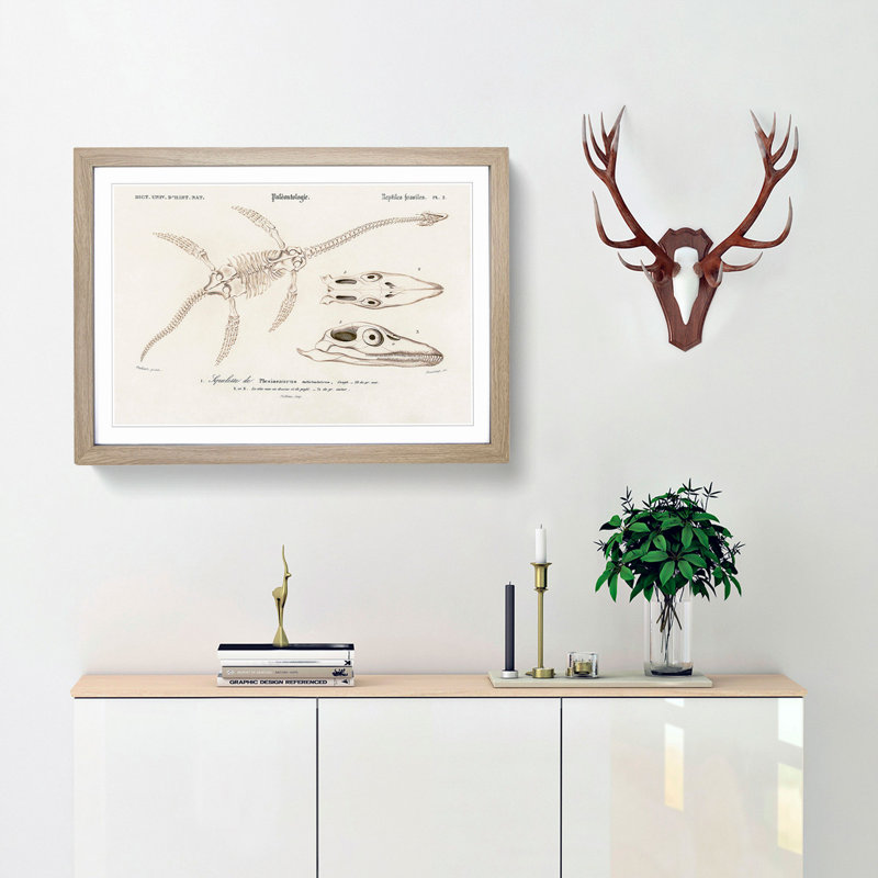 Plesiosaurus Illustration by Charles d' Orbigny - Picture Frame Painting Print, 48cm H x 65cm W x 2cm D, Oak Framed