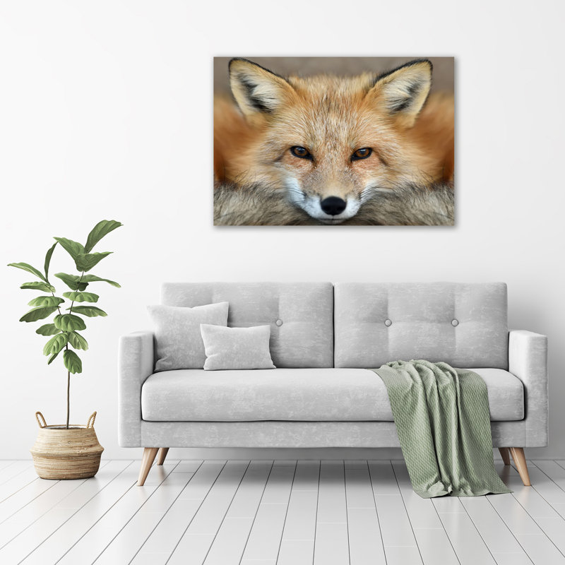 Fox - Wrapped Canvas Print