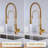 AWZTOO Pull Down Kitchen Faucet