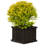 Barros Outdoor Wood Planter Box-1982443288