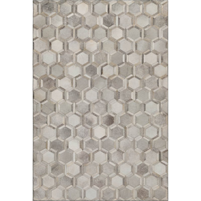 Premium Machine Washable Paytynn Gray Rug
