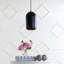 Luminaire suspendu pour dôme simple 1 lumières Mireia