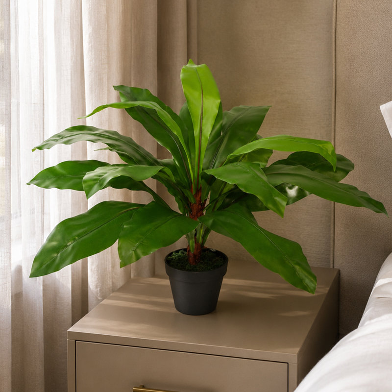 60cm Faux Fern Plant in Pot Liner, 50 cm x 50 cm